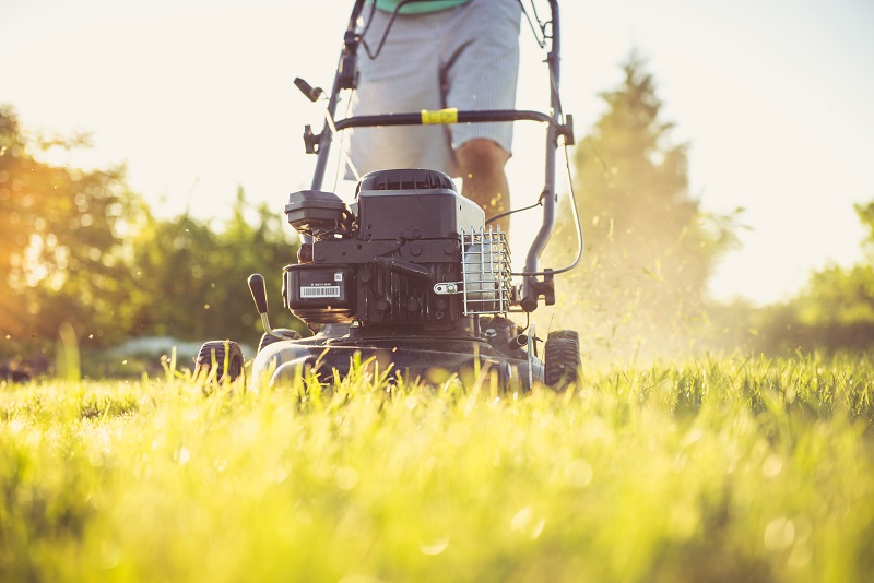 Person mowing a healthy green lawn with a push mower as part of proper lawn care maintenance.