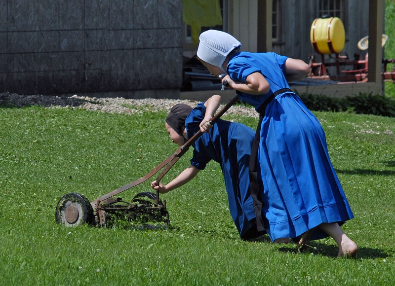 Family mowing a lawn with a manual mower during DIY lawn care in Alpharetta
